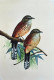 Bird Painting (ART-6706-115997) - Handpainted Art Painting - 12in X 15in