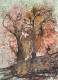 Mystical Trees (PRT-8841-116006) - Canvas Art Print - 17in X 24in