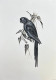Bird Painting (ART-6706-116111) - Handpainted Art Painting - 12in X 15in