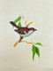 Bird Painting (ART-6706-116113) - Handpainted Art Painting - 12in X 15in