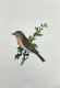 Bird Painting (ART-6706-116115) - Handpainted Art Painting - 12in X 15in