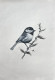Bird Painting (ART-6706-116117) - Handpainted Art Painting - 12in X 15in