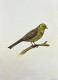 Bird Painting (ART-6706-116116) - Handpainted Art Painting - 12in X 15in