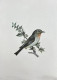 Bird Painting (ART-6706-116112) - Handpainted Art Painting - 12in X 15in