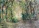 Dappled Light And Shadows (PRT-8841-116100) - Canvas Art Print - 24in X 17in
