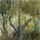 Inside Forest (ART-8841-116256) - Handpainted Art Painting - 11in X 11in