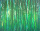 Wet Forest (ART-17763-116324) - Handpainted Art Painting - 60in X 48in