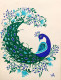 Graceful Peacock Handmade Art (PRT-17633-116345) - Canvas Art Print - 14in X 18in