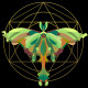 Metamorphosis In Balance (PRT-17700-116338) - Canvas Art Print - 24in X 24in