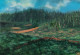 The Verdant Valley (ART-7536-116487) - Handpainted Art Painting - 17in X 12in