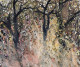 Mystical Forest In Autumn (PRT-8841-116512) - Canvas Art Print - 24in X 20in