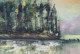 Tranquil Forest Reflections (PRT-8841-116697) - Canvas Art Print - 24in X 16in