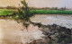 Village Series (ART-7901-116921) - Handpainted Art Painting - 22in X 14in