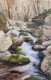 Waterfall (ART-7901-117036) - Handpainted Art Painting - 11in X 17in