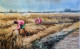 Farmer (ART-7901-116917) - Handpainted Art Painting - 22in X 14in