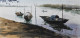 Nouka (ART-7901-116843) - Handpainted Art Painting - 14in X 8in