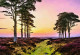 Sunset Whispers Through The Pines (PRT-15697-117047) - Canvas Art Print - 60in X 41in