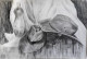 Hat (ART-7901-117033) - Handpainted Art Painting - 22in X 14in