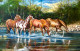 The Grazing Pool (ART-17757-117116) - Handpainted Art Painting - 30in X 20in