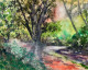 Serene Forest Path (PRT-8841-117193) - Canvas Art Print - 24in X 19in