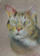 Cat (ART-15604-117331) - Handpainted Art Painting - 11in X 15in
