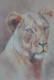 Jungle  King (ART-15604-117327) - Handpainted Art Painting - 11in X 15in