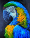 Macaw (ART-17941-117580) - Handpainted Art Painting - 12in X 12in