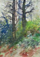 Forest With Dappled Light (ART-8841-117846) - Handpainted Art Painting - 8in X 11in