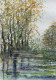 Serene  Reflections (ART-8841-117845) - Handpainted Art Painting - 8in X 11in