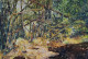 Landscape (PRT-18009-118648) - Canvas Art Print - 36in X 24in