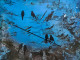 Shared Silence (ART-8448-118609) - Handpainted Art Painting - 16in X 12in