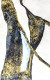 Abstract Grace (ART-8156-119060) - Handpainted Art Painting - 40in X 60in