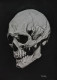 The Skull (ART-18115-119320) - Handpainted Art Painting - 12in X 17in