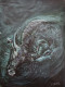 Whispers Of The Wild (ART-17927-119349) - Handpainted Art Painting - 10in X 13in