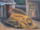 Landscape (ART-18009-119462) - Handpainted Art Painting - 15in X 11in
