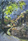 Landscape (ART-18009-119450) - Handpainted Art Painting - 15in X 11in