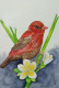 Bird Painting (ART-17940-119594) - Handpainted Art Painting - 24in X 8in