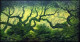 Landscape (ART-1342-119682) - Handpainted Art Painting - 48in X 24in