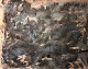 Landscape (PRT-18009-119653) - Canvas Art Print - 24in X 19in
