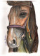 Horse Sketch (PRT-15368-119761) - Canvas Art Print - 13in X 18in