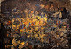 Landscape (ART-18009-120309) - Handpainted Art Painting - 44in X 30in