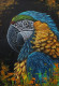 Azure Wings: The Macaw's Vigil (ART-18220-120425) - Handpainted Art Painting - 8in X 11in