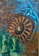 Dharma Of Life (ART-18235-120600) - Handpainted Art Painting - 11in X 16in