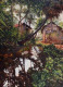 Landscape (ART-18009-120509) - Handpainted Art Painting - 30in X 44in