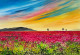 Vibrant Sky (ART-8841-120781) - Handpainted Art Painting - 15in X 10in