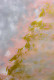 Soft Blush Abstract With Textured Diagonal Movement (ART-8156-121127) - Handpainted Art Painting - 15in X 21in