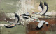 Flying Birds Painting | Original Handmade Bird Art Contemporary Wall Decor (ART-16885-121501) - Handpainted Art Painting - 60in X 36in