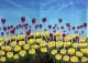 Acrylic Paint- Spring Rise, A Canvas  Acrylic Painting On Flowers (ART-18425-121651) - Handpainted Art Painting - 32in X 23in