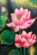 Peace In Bloom (ART-17937-121658) - Handpainted Art Painting - 28in X 40in