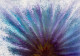 Celestial Explosion (PRT-8156-121690) - Canvas Art Print - 24in X 17in